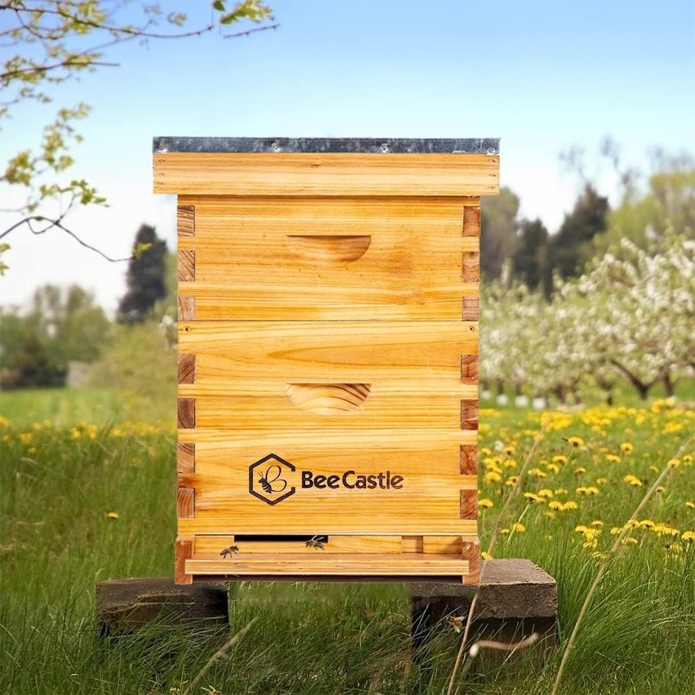 Durable 8-Frame Langstroth Bee Hive Kit with Beeswax Coating & Easy Assembly