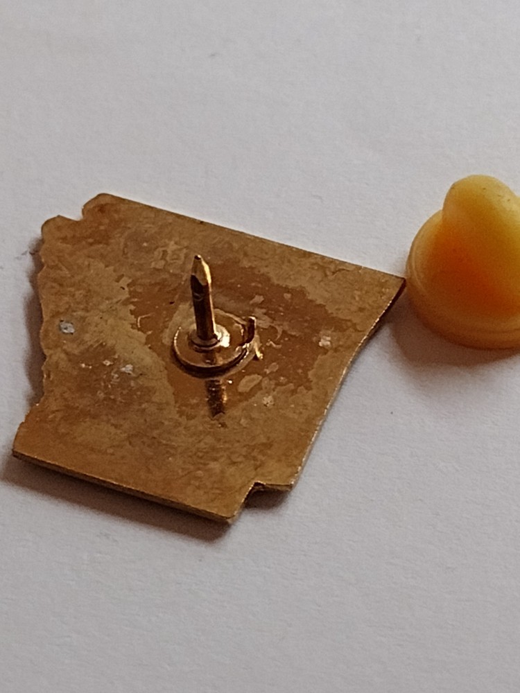 Arkansas State Souvenir Lapel Pin