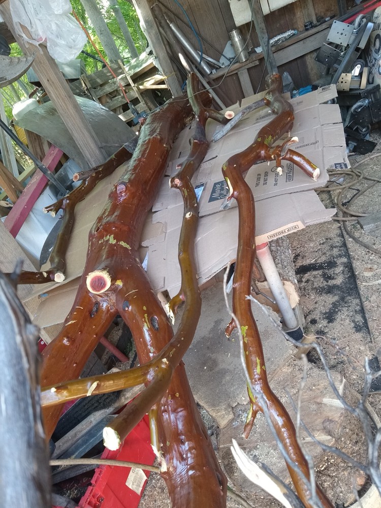 manzanita wood