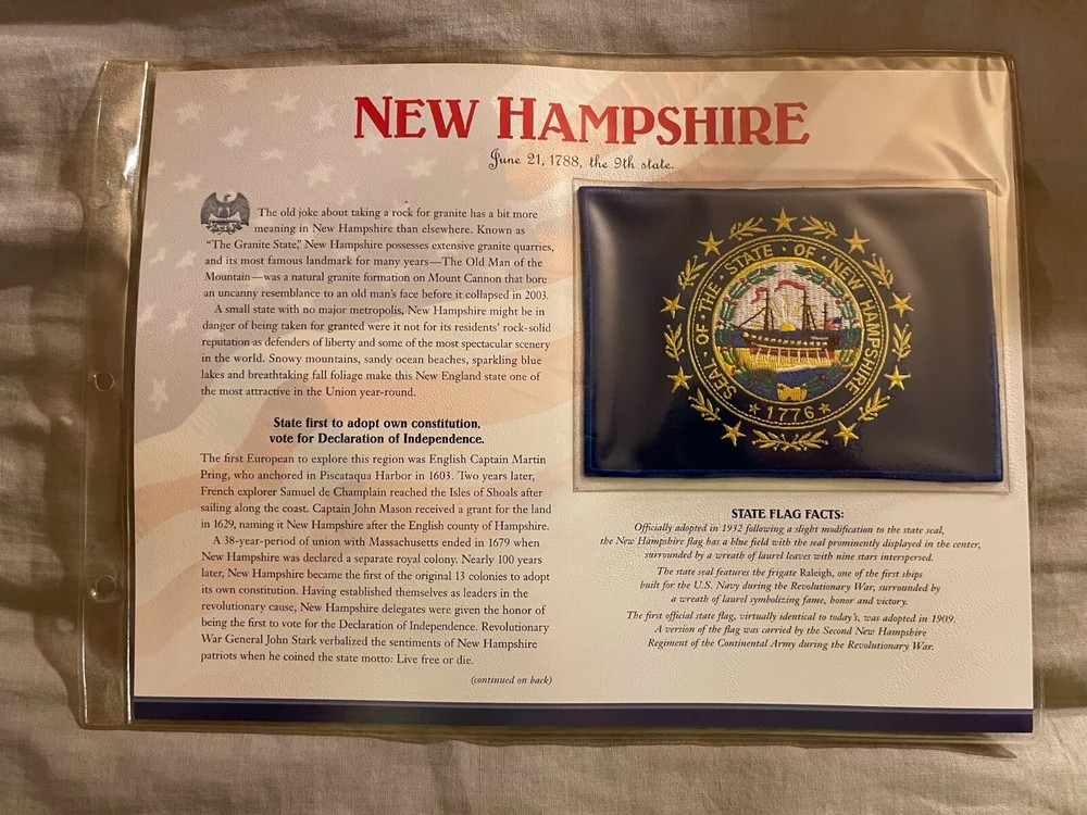 WILLABEE & WARD FLAG PATCH PANE ****NEW HAMPSHIRE
