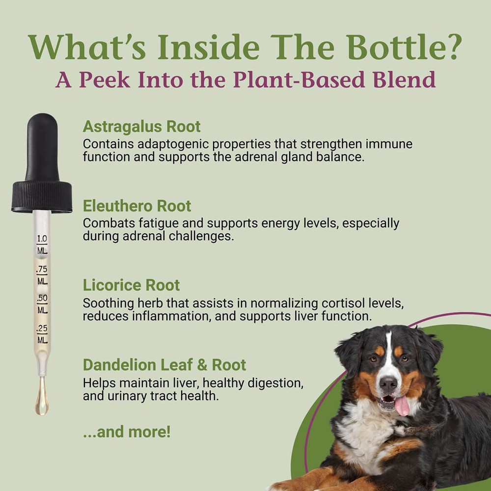 PetAlive Cushex Drops-S