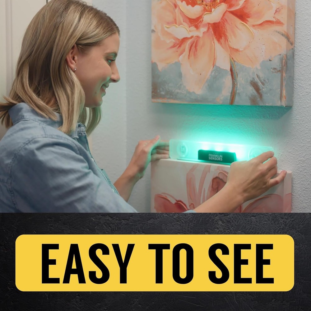 High Visibility Magnetic Level with LED Display