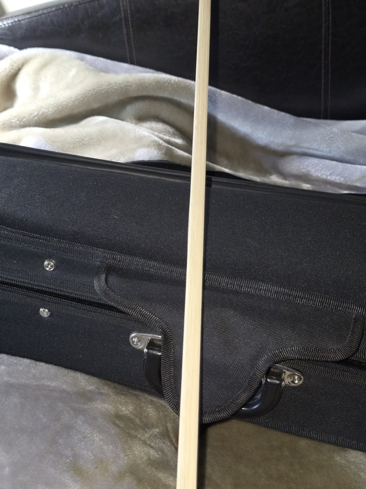 Genial Violin 4/4 Size