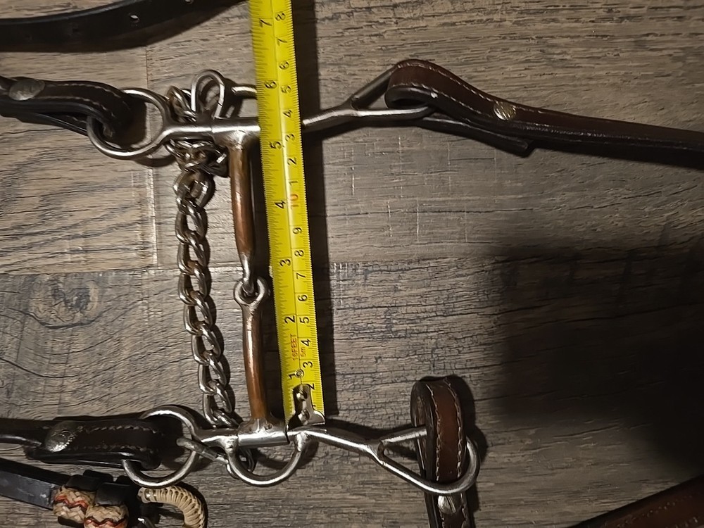 western bridle and reins