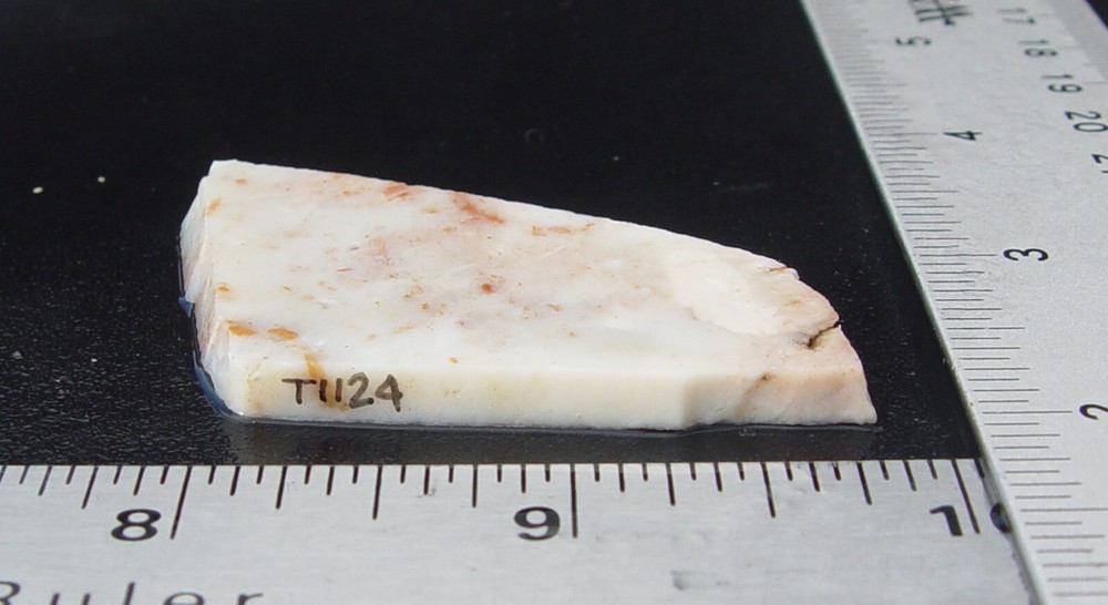 Parrall Agate Lapidary Slab T1124