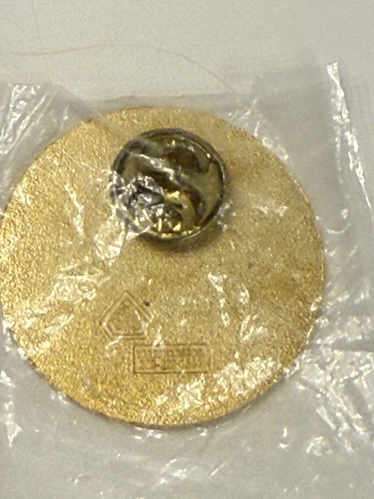 IBEW Lapel Pin Local 595 Dublin, CA