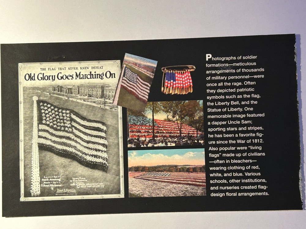 U. S. Pane 3780b Old Glory Goes Marching On 2003