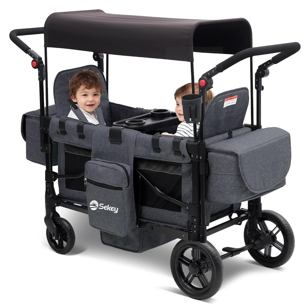 Stroller Wagon Convertible 2 Kids Canopy