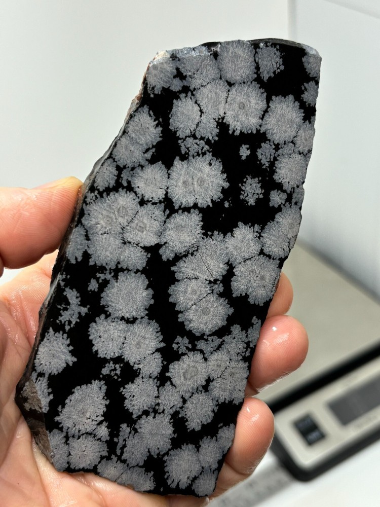 Flower Obsidian (large snowflake) Cabbing Knapping Collecting Combo Ship Avail