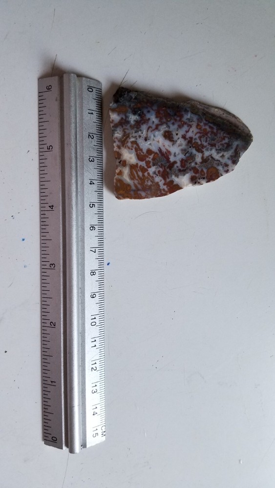 Wingate Pass - Plume Agate - Slab