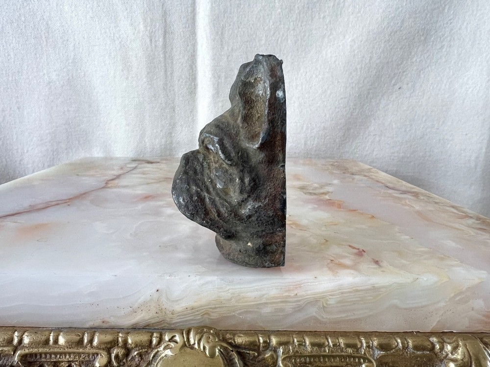 Antique Solid Bronze Bulldog Head Architectural Mount c1900