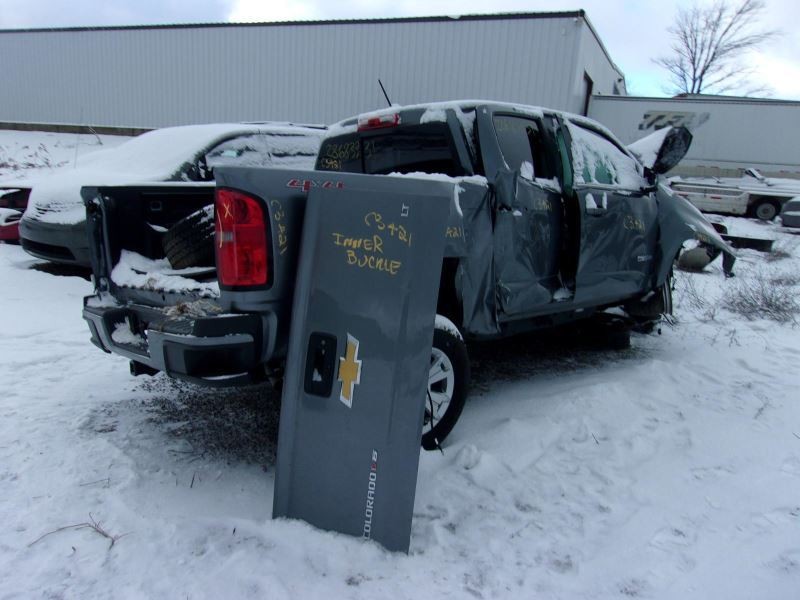 COLORADO 2019 Camera/Projector 1334254