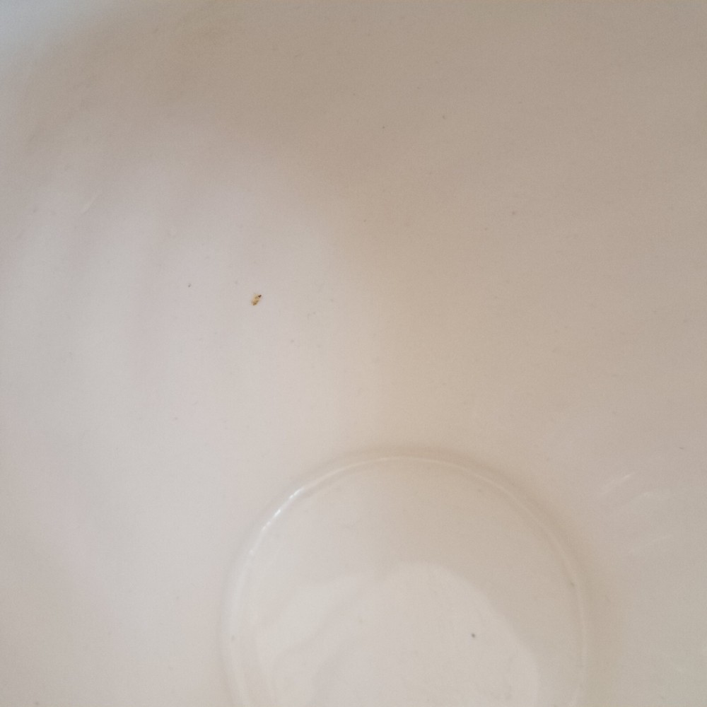 Sadler Large Creamer Silver & White Design