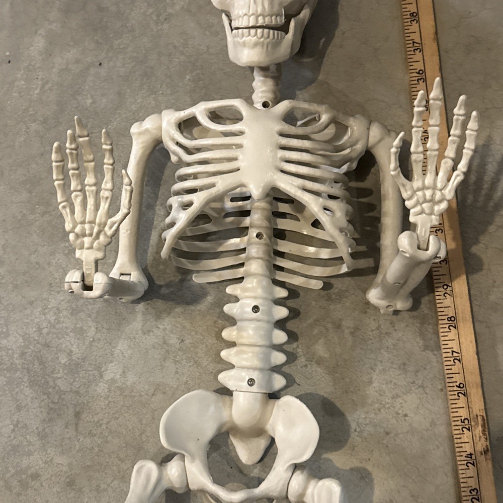 36" Poseable Bone Skeleton Halloween Decorative Prop Off-White -