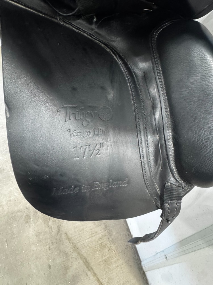 Trilogy 17.5" Verago W Tree