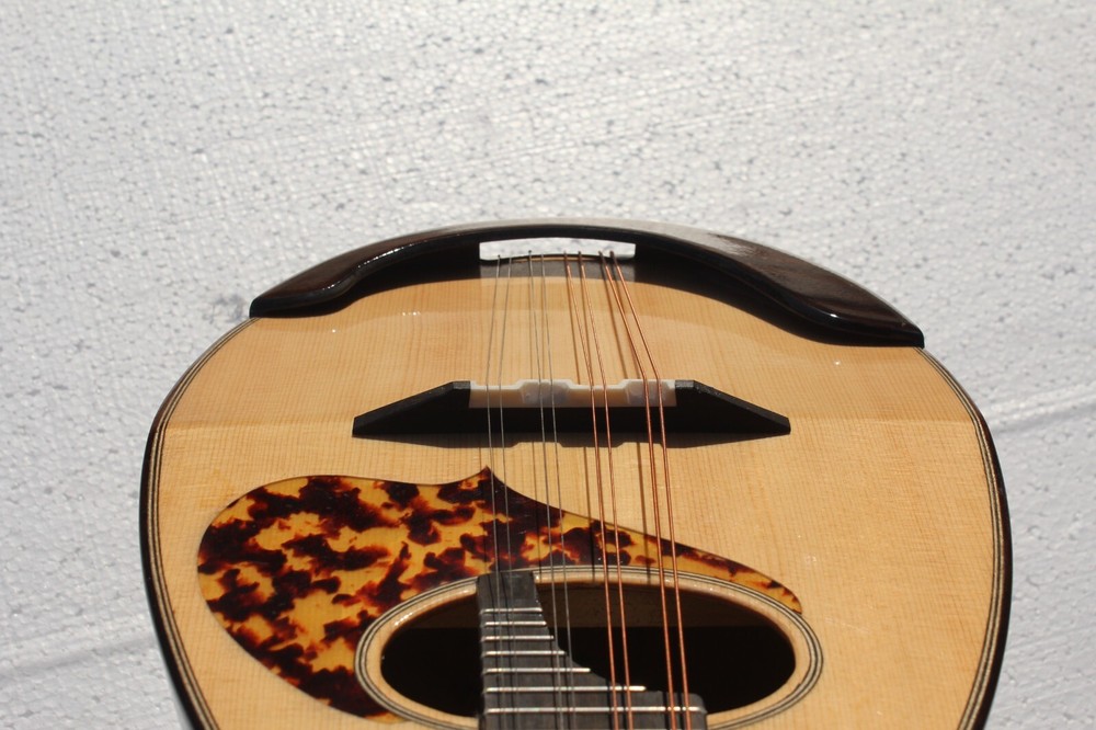 Bowl back Mandolin Solid Spruce Top Stringed instrument