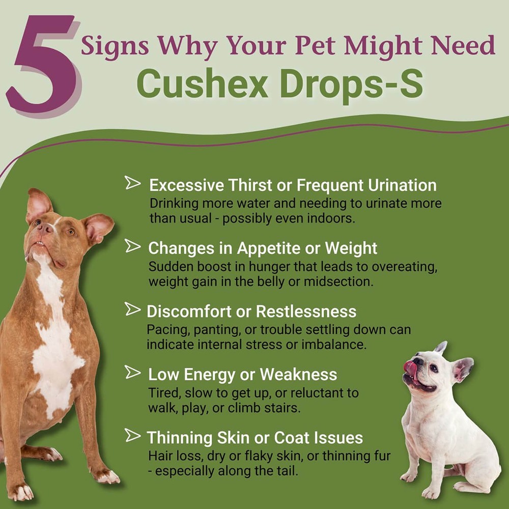 PetAlive Cushex Drops-S