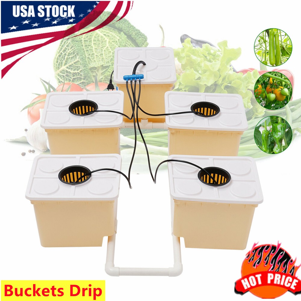 Hydroponics Deep Water Culture DWC Hydroponic System buckets Drip Growing System