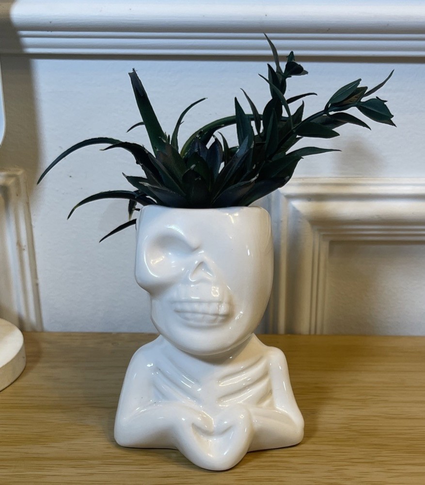 Skull Theme Planter With Artificial Succulents House Decoration Pre-Owned
