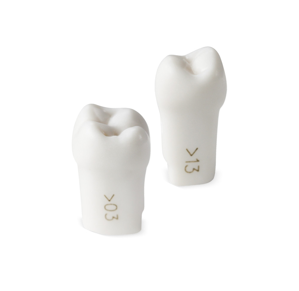 Acadental - ModuPRO One M300 Replacement Teeth (READ DESCRIPTION FOR TEETH LEFT)