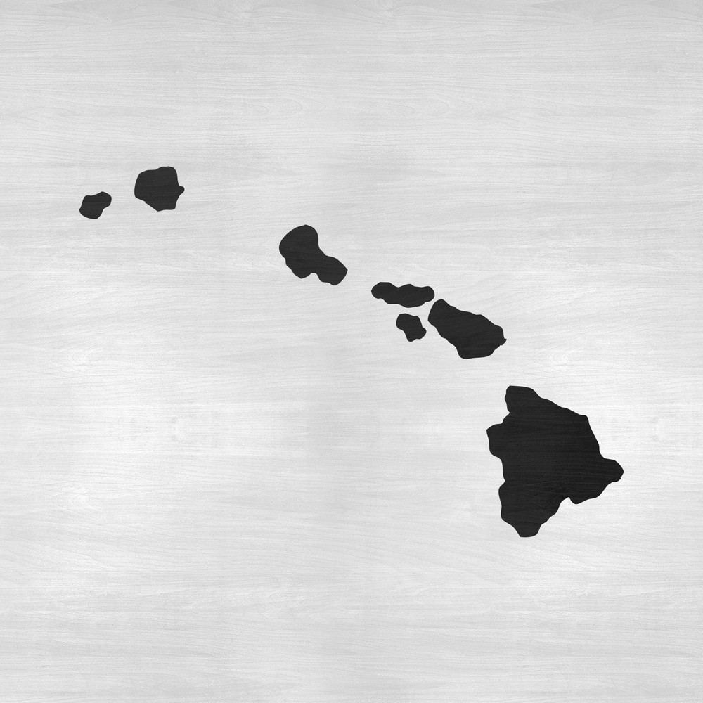 Hawaii State Stencil - Durable & Reusable Mylar Stencils