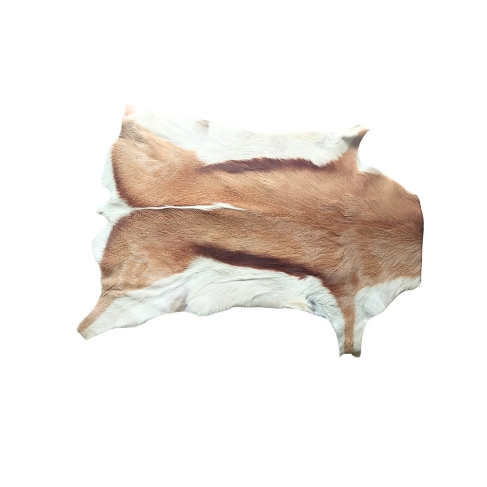 Natural Springbok Hide Authentically African