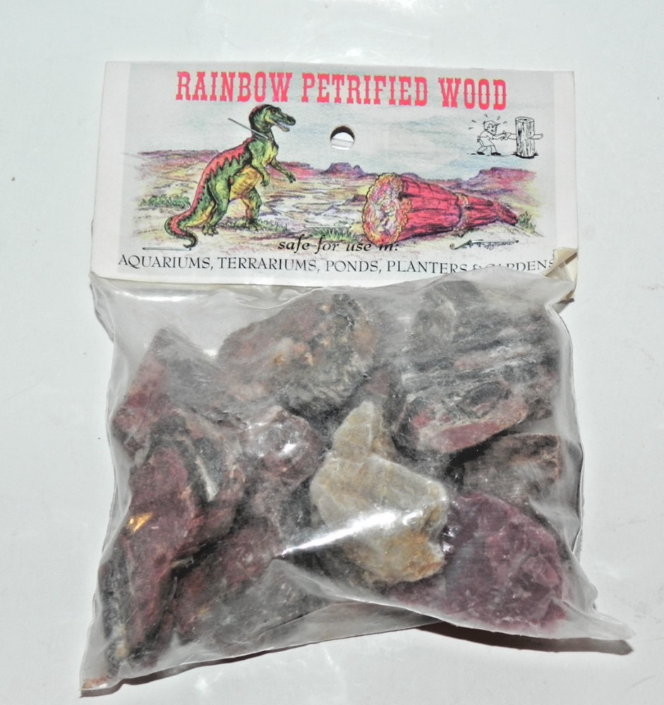 Rainbow Petrified Wood assortment - Free Ship!