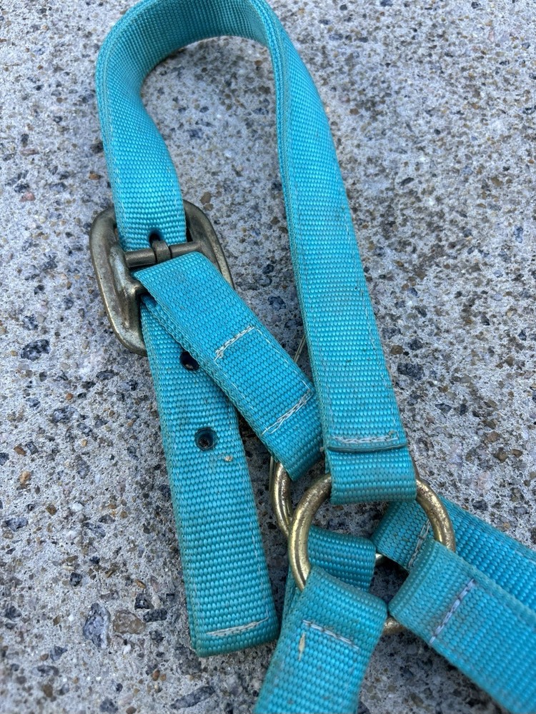 USED - Teal Blue Size Medium Horse Halter