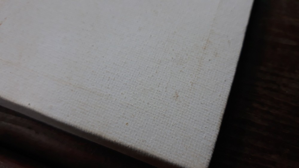 A Pair of Art Canvasses-Small