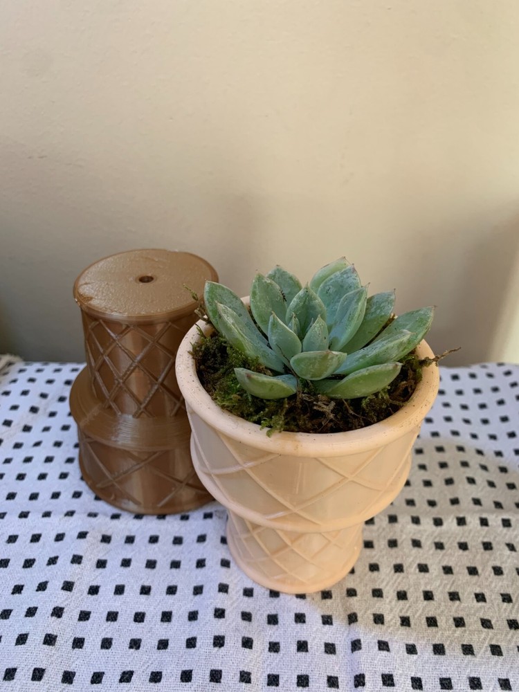 Cake Cone Plain or Chocolate 3D Printed Succulent Planter Ice Cream Cone Pot