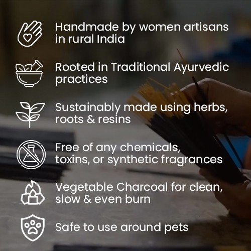 Pet Ginger Incense Sticks Pack: 10 Packs