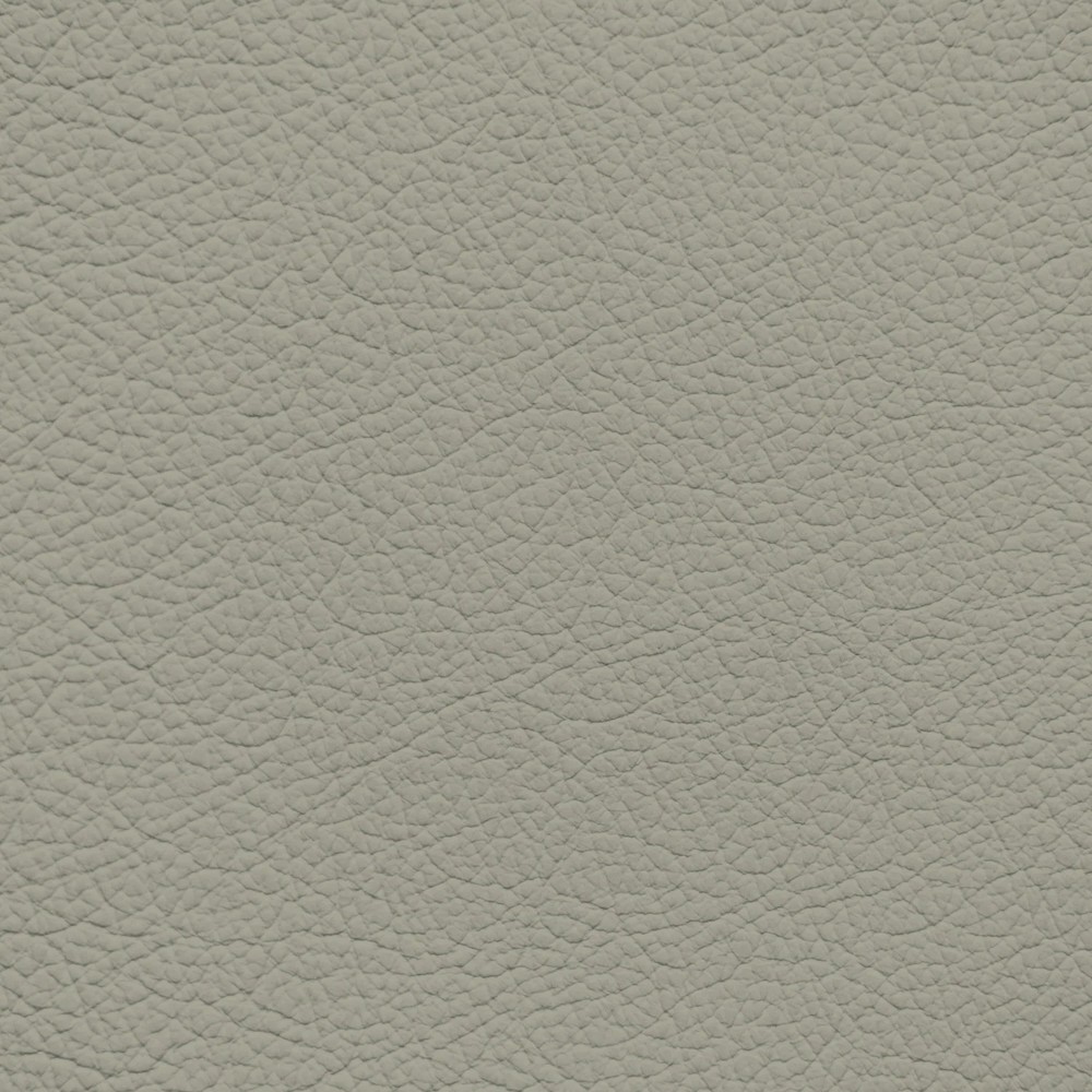 Infiniti Willow Leather Dye