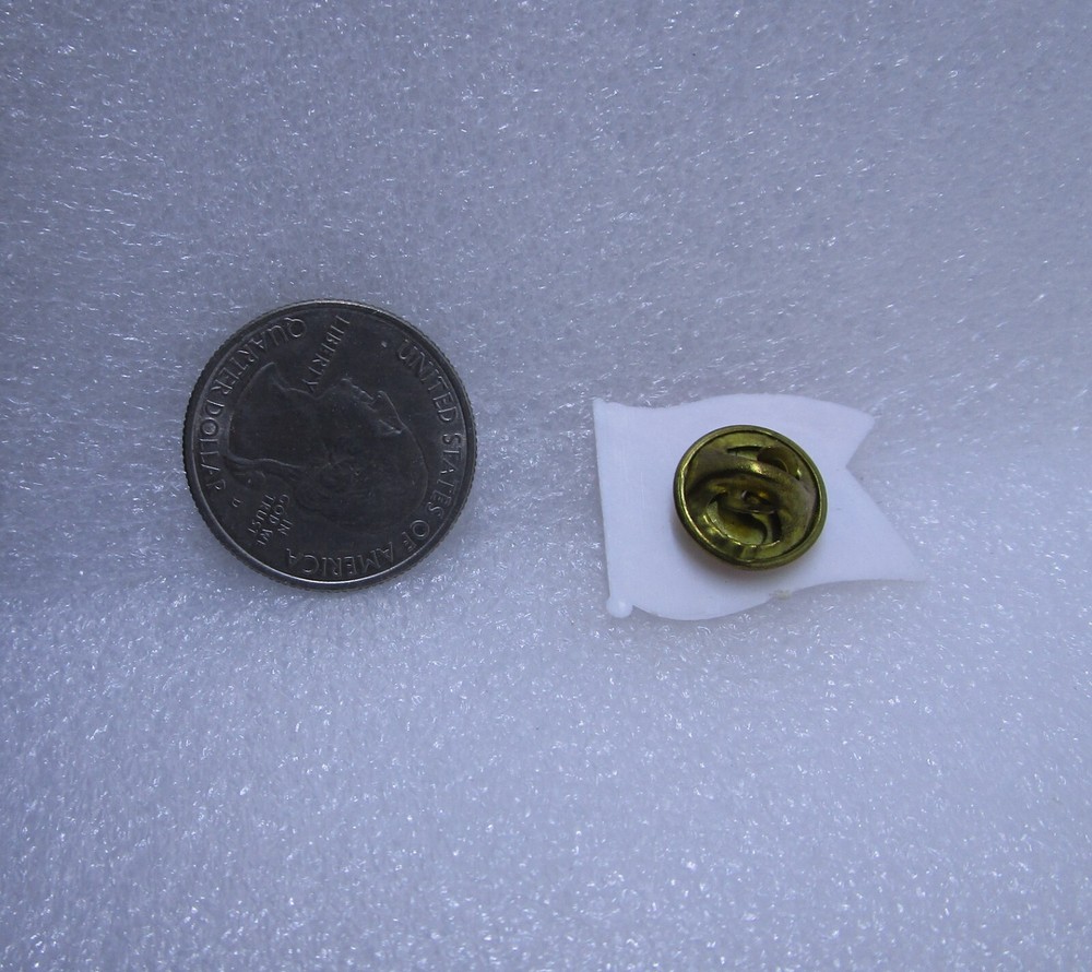 Paducah Kentucky Flag Plastic Pin