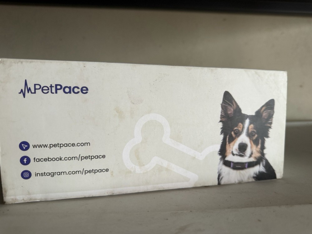 Pet Pace Health Collar New