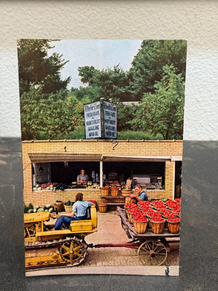 ORIGINAL Caterpillar Magazine Vintage Issue #76
