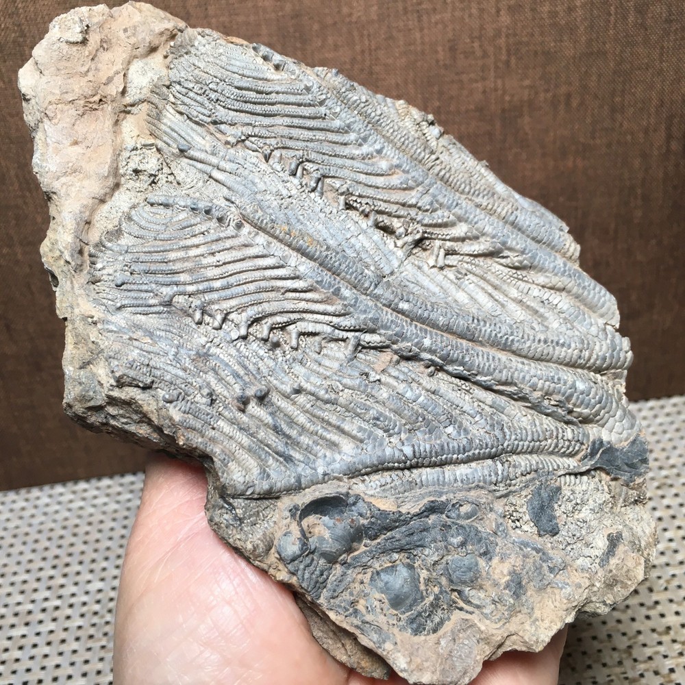 508g Natural crystal specimens md3198