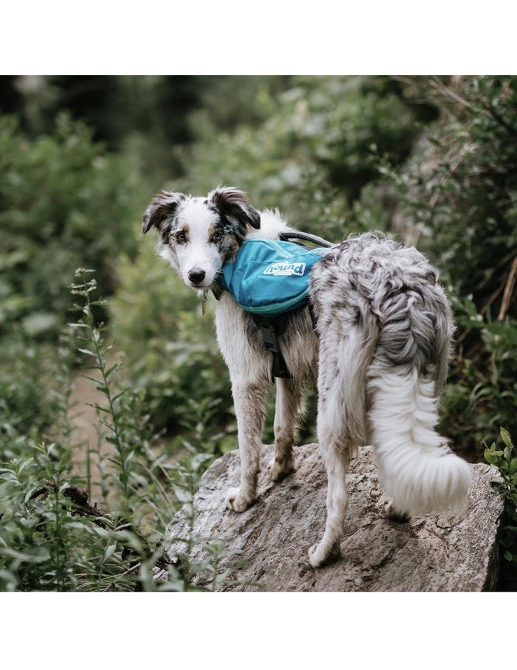 DOG BACKPACK / SADDLE - Outward Hound - Quick Release - Green - EXCELLENT SHAPE