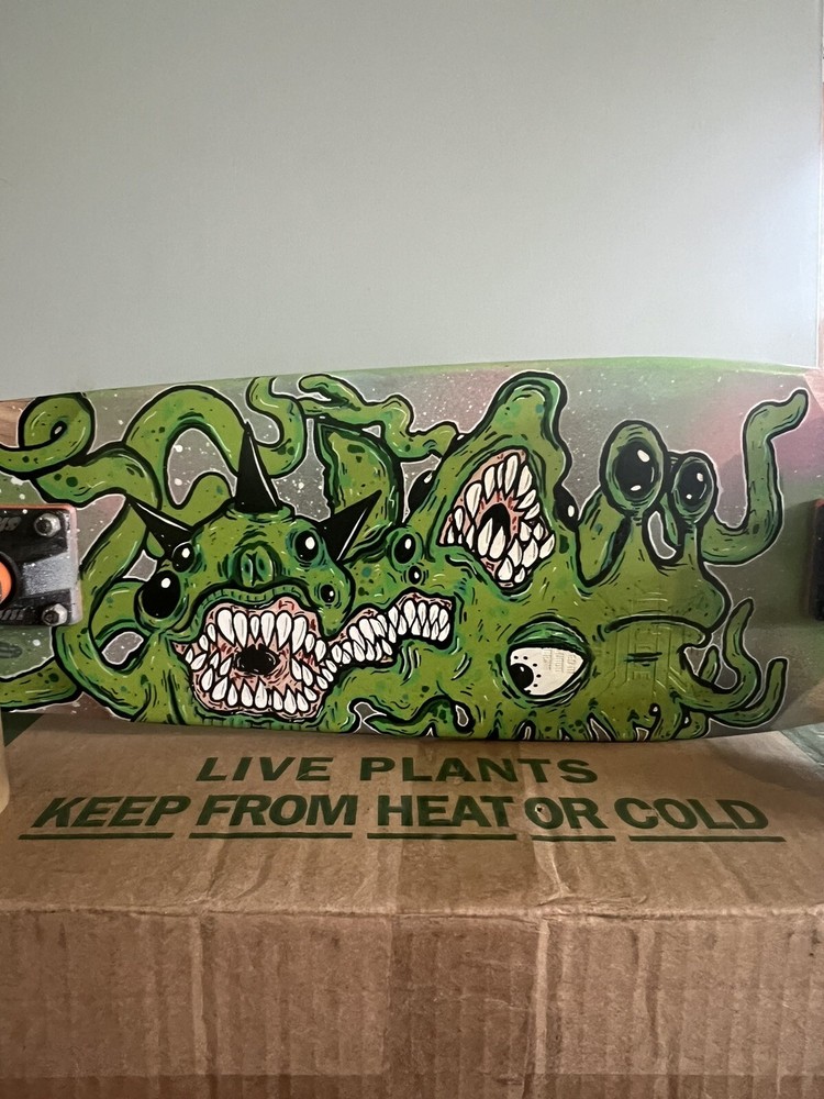 cruiser skateboard complete Hand painted