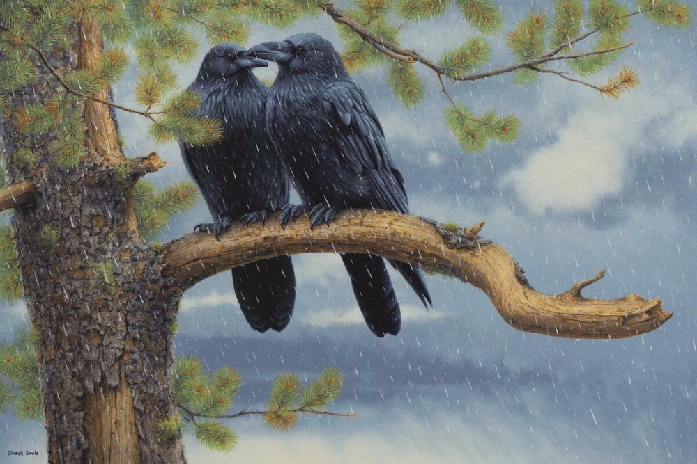 Ceramic Tile Mural Kitchen Backsplash - Shelter in the Storm - Black Birds Crows