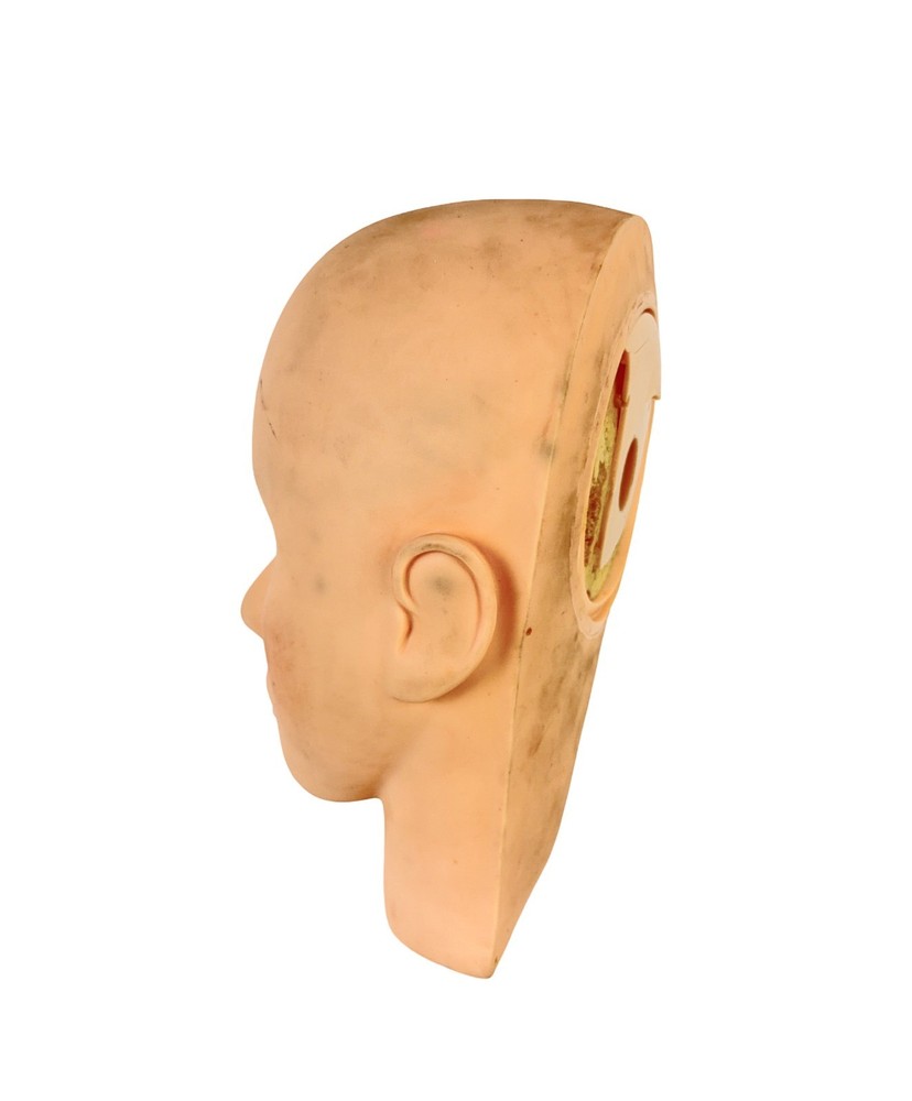 Massage Training Mannequin Head Makeup Eyelash Extension Practice Model Display