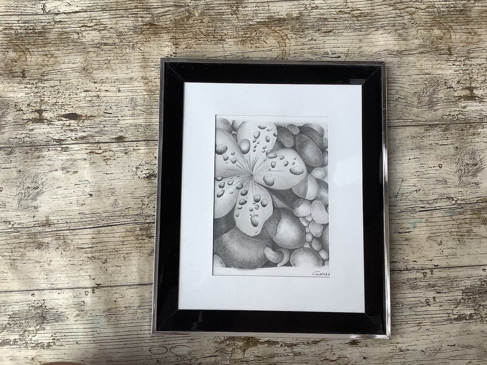 Flower With Water Droplets Drawing Sketch