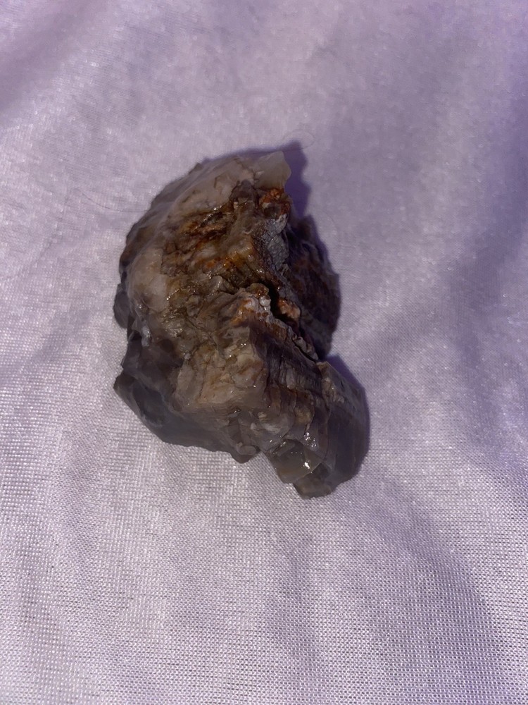 Petrified Wood