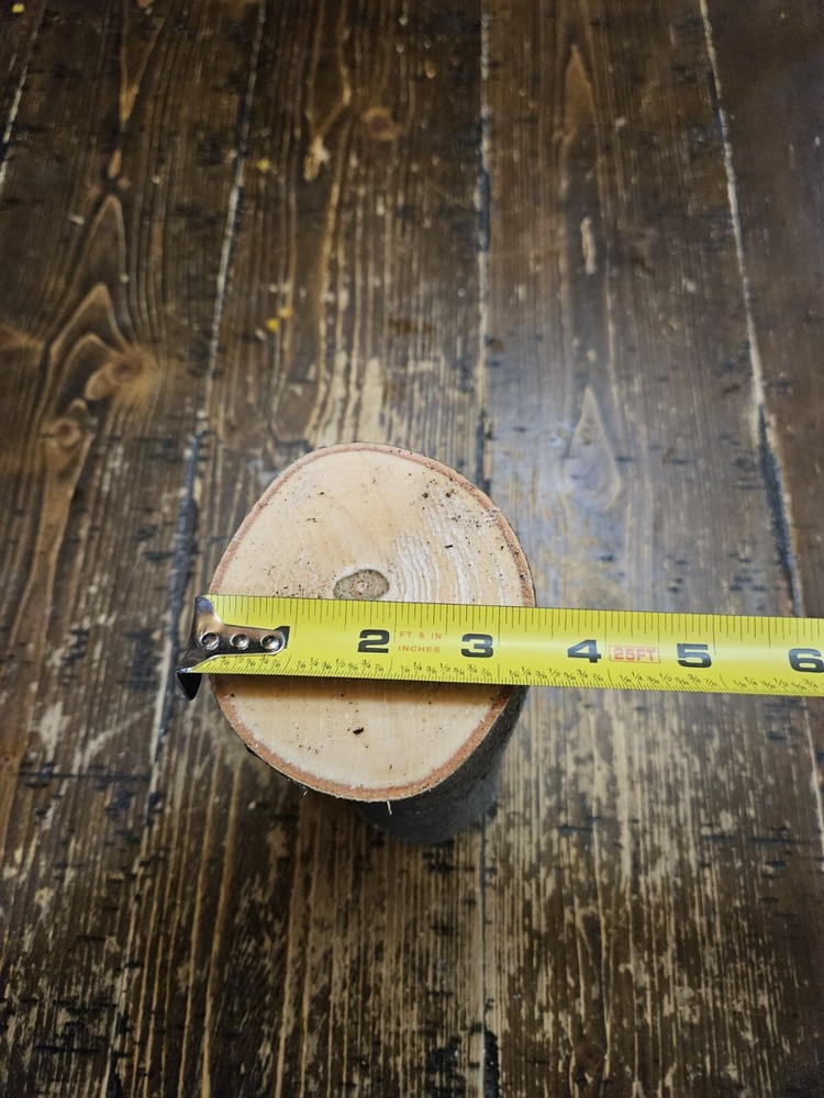 MAPLE Turning Crotch Log 7" Long M4804