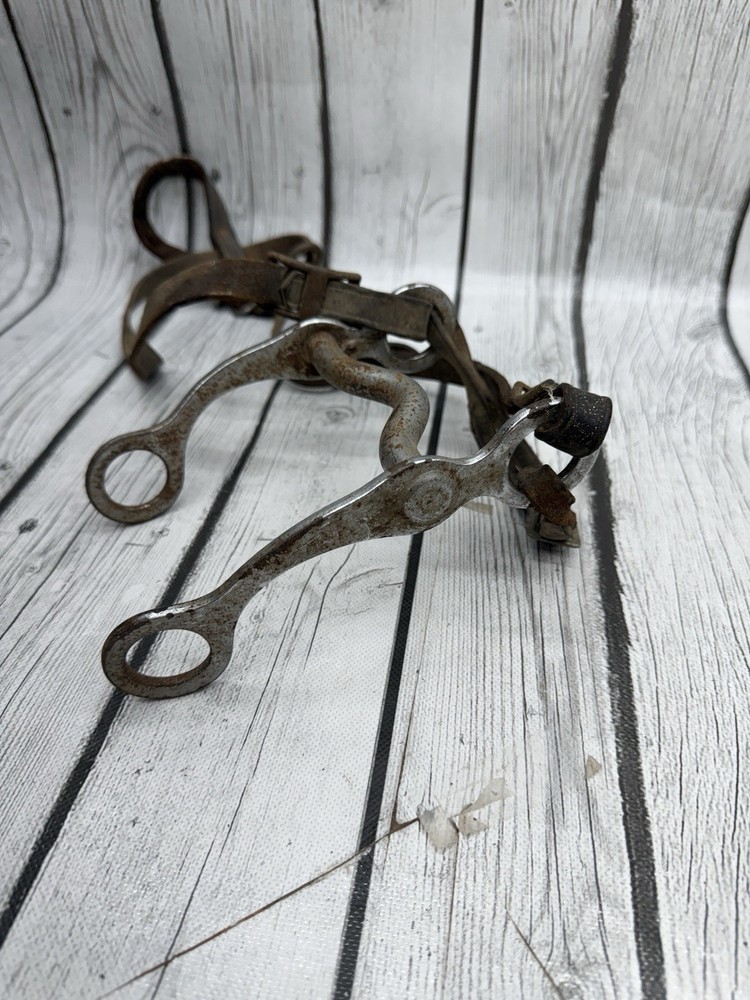 Vintage House Mouth Bit