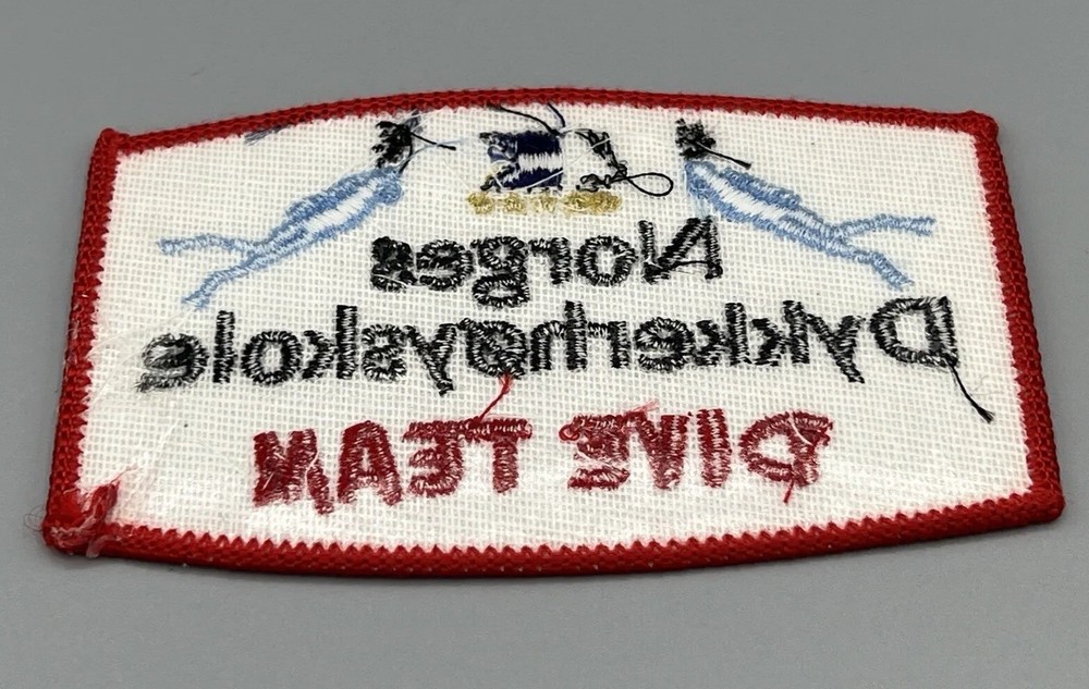 NORGES Dykkerhoyskole Norwegian DIVE TEAM PATCH Dyk E8,m