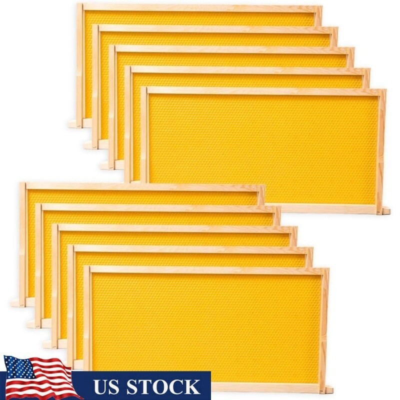 10 Pack Beehive Frames Wax Foundations Deep Brood Wooden Frames Easy Assembly US
