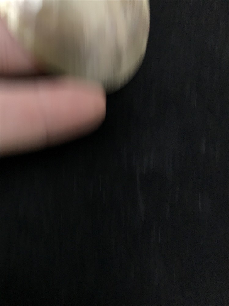 Vintage Polished Shell ready to use in multiple applications