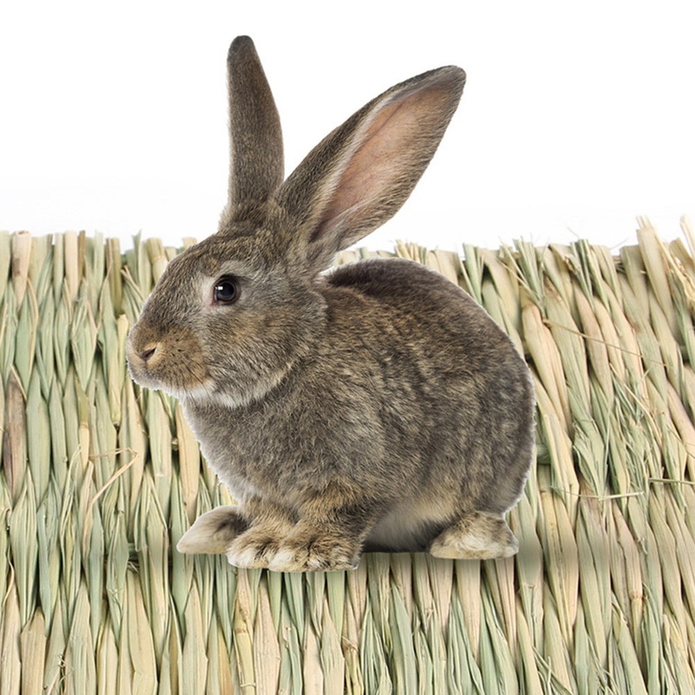 5 Pcs Rabbit Mat Grass Woven Seagrass Bunny For Bedding Rabbits