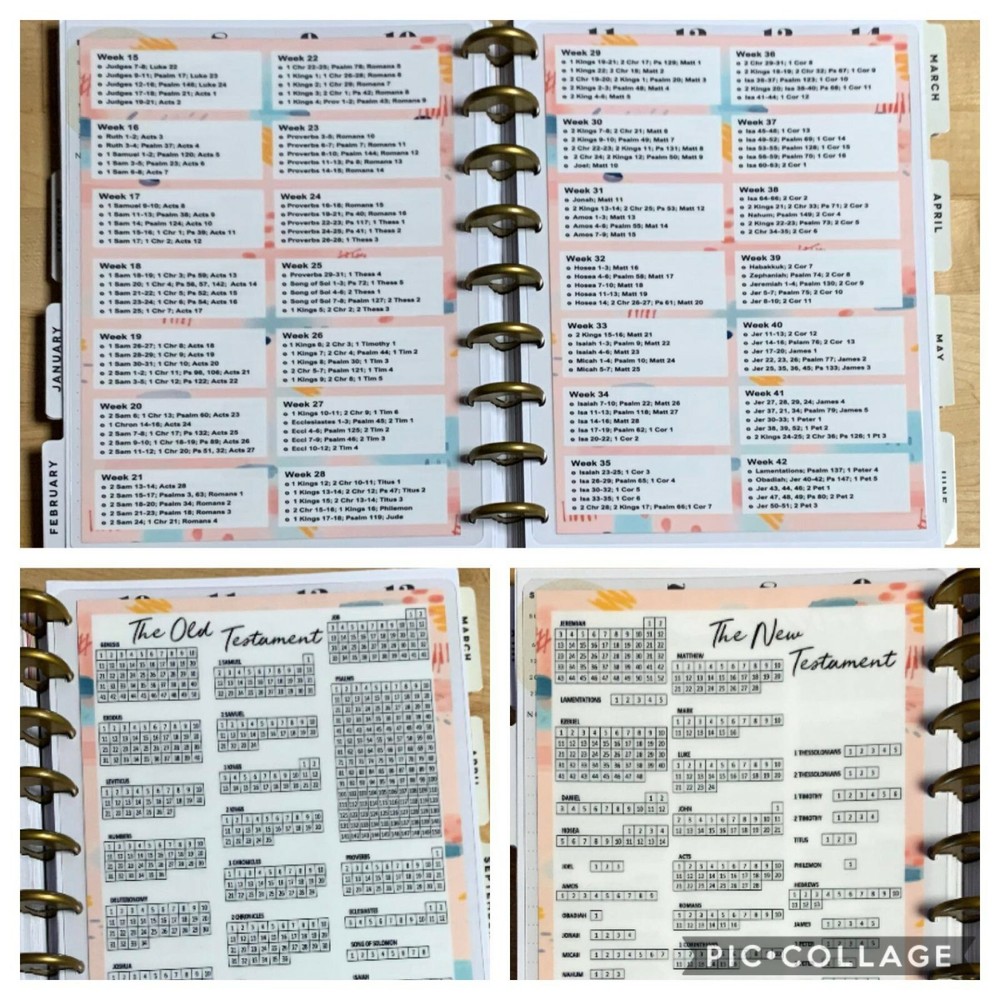 Set of 3 (Three) Bible Reading Tracker Insert 4 use w/ Classic Happy Planner~