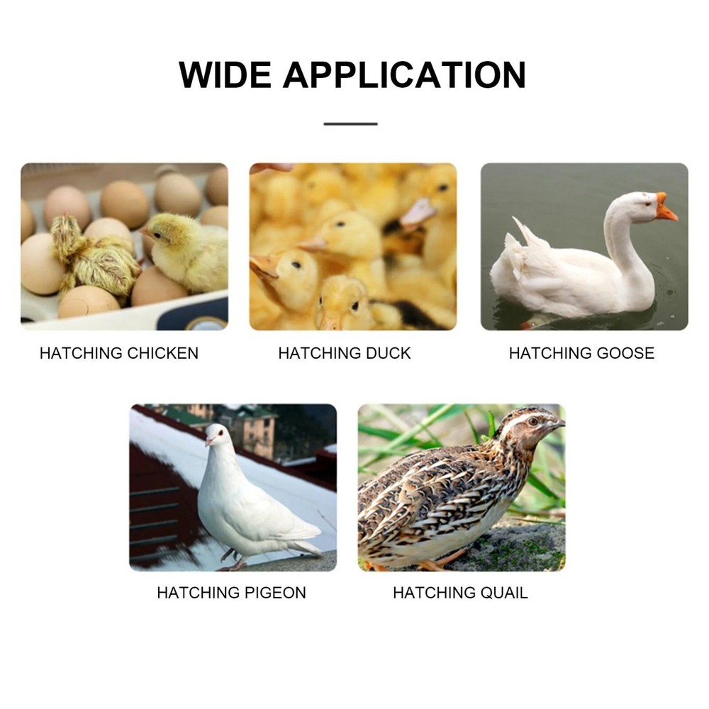 Digital Temperature Humidity Egg Incubator Controller Automatic Thermostat Egg